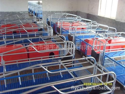 双体母猪产床,单体母猪产床】图片