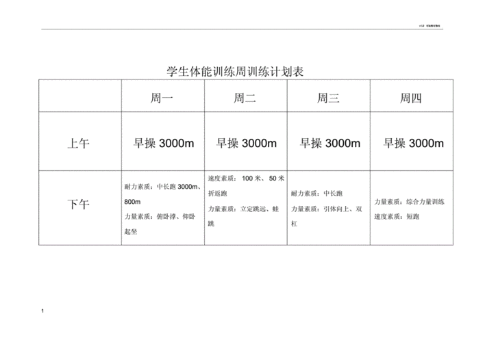 学生的的体能训练周训练计划模板标准表格doc1页