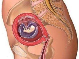 怀孕9周胎儿多大 怀孕9周胎儿稳定了吗