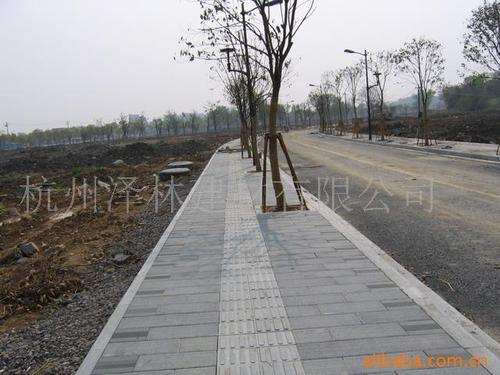 仿石花岗岩条纹步道砖