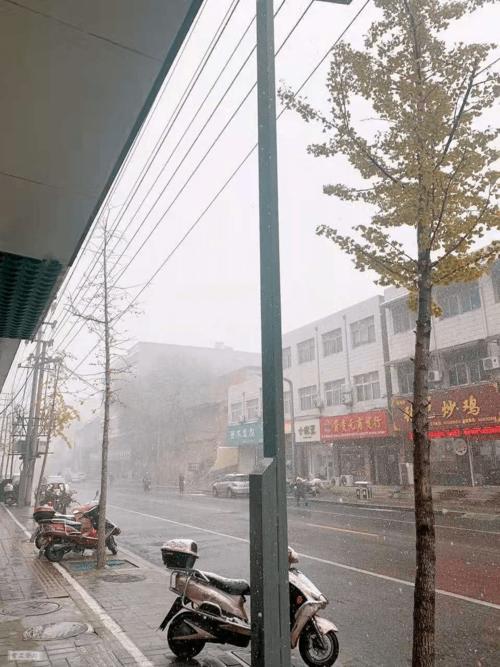 67登封▏一夜之间冷了一座城少林办拆迁安置问题登封市林业局与热心