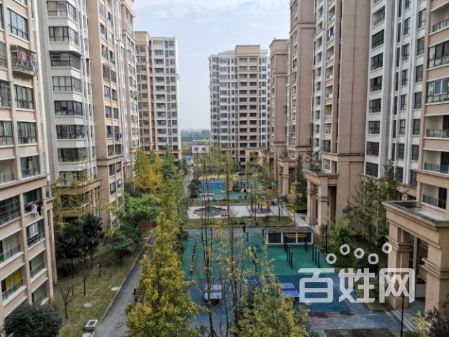 国栋南园贰号 普通住宅3室2厅 精装修