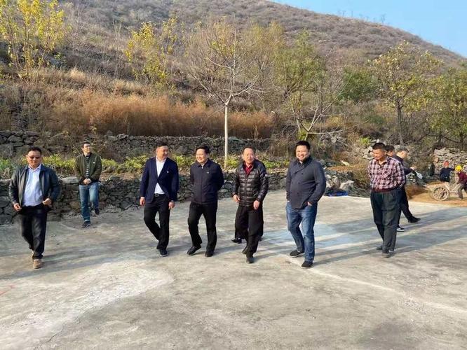 省文化和旅游厅厅长姜继鼎到巩义市涉村镇调研全域旅游及民宿发展工作