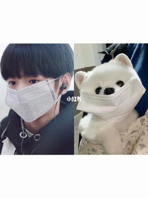 这样的大狗狗吻文想要吗_狗狗_刘耀文_娱乐_明星娱乐