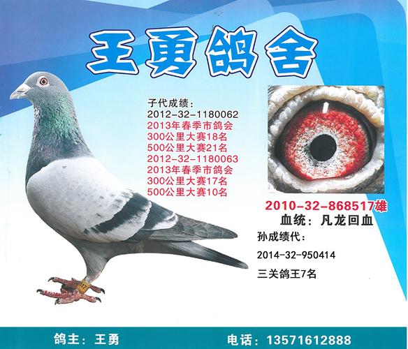 凡龙517
