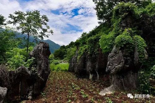 桑植这个小山村居然这么美!-旅游频道-手机搜狐