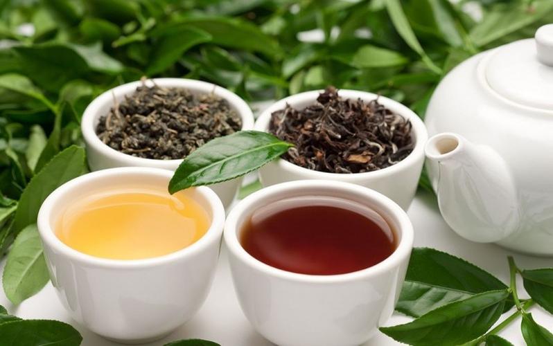 红茶和绿茶的区别 有什么不同呢