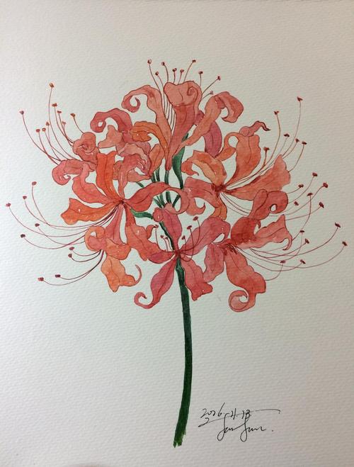 临摹鹿荷的彼岸花但是把颜色给换了.