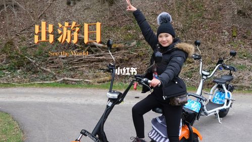 在瑞士骑电动车体验_自行车_摩托车_徒步_景点_电动车