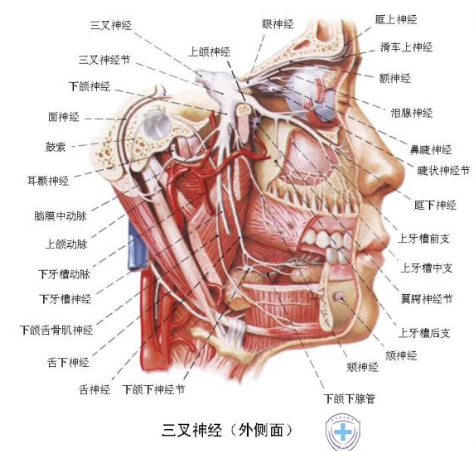 【天天健康】世界镇痛日|关爱健康,免除疼痛,关爱"三叉神经痛"患者