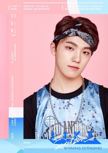 (mingyu)徐明浩(the8)夫胜宽(seungkwan)崔韩率(vernon)李灿(dino)