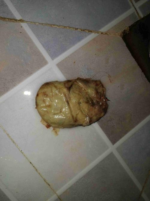 来事之前用了消糜栓,月经第二天掉出一大坨东西,表面看想一层一层的膜