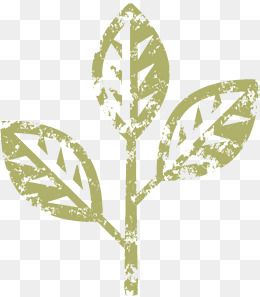 嫩芽手绘图片大全