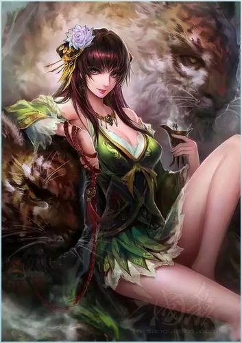 三国杀女将好看皮肤