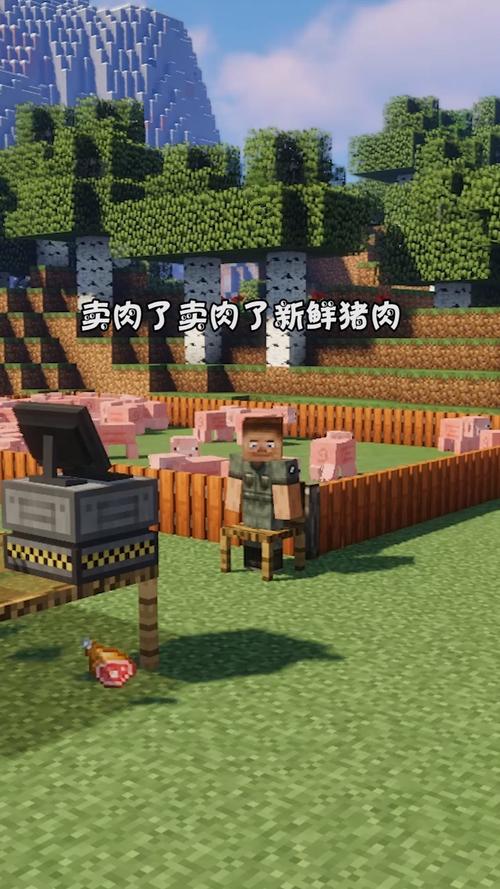 我的世界:卖猪肉_我的世界_游戏_主机游戏_单机游戏