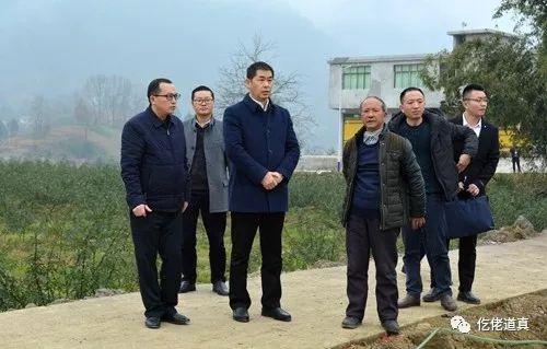 道真县委书记路斌调研产业发展