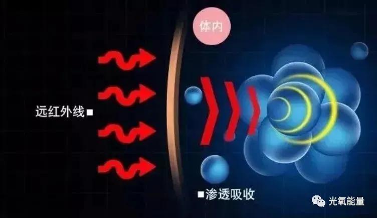 聚诚健康:告诉你远红外是怎么回事