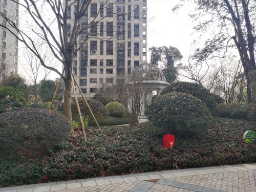 保集湖海塘庄园(北区),双龙南街-金华保集湖海塘庄园