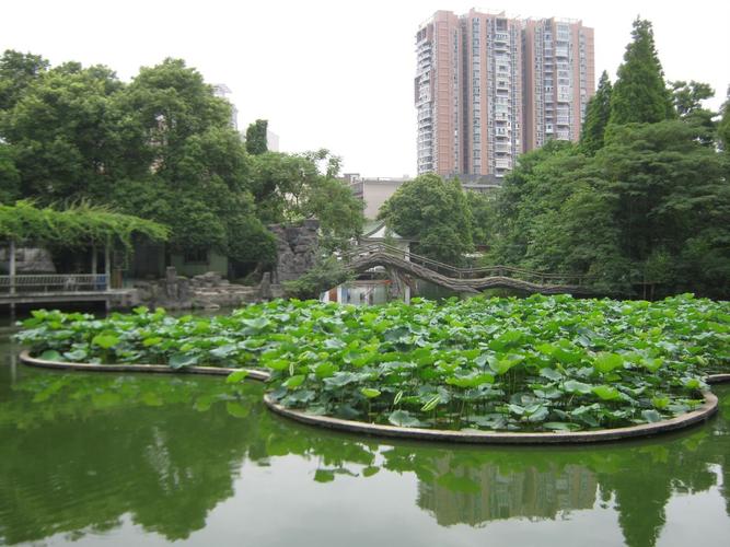 雁峰西湖公园