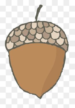 松子手绘图片大全