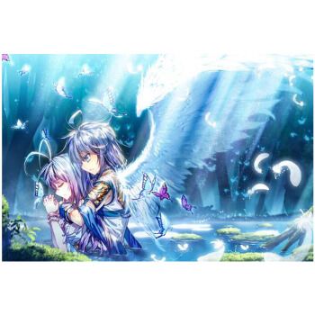 数字油画动漫斗罗大陆 定制唐三小舞填色油彩画人物涂色画 diy0801-1b