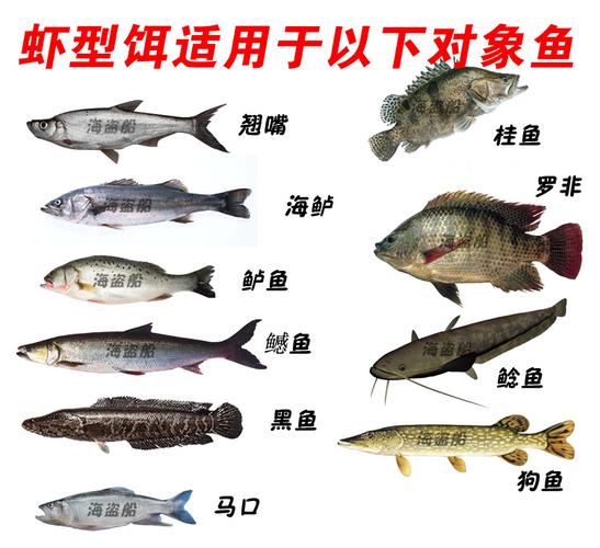 路亚饵软饵虾 多节虾 夜光 主攻鲈鱼桂花鳜鱼海鲈鳡草鱼淡水海钓