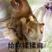 给你揉揉肩文字表情包_微信头像图片大全