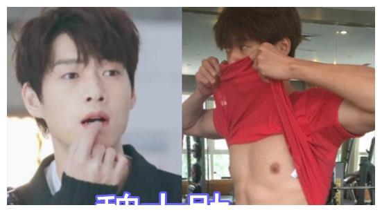 邓伦的腹肌,王一博的腹肌,看到魏大勋腹肌后:藏得够深