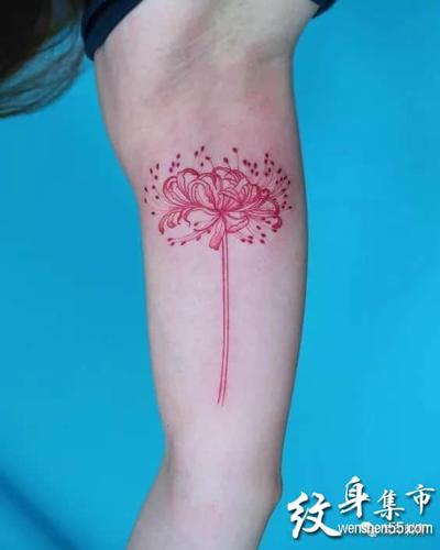 彼岸花纹身,彼岸花纹身图案大全