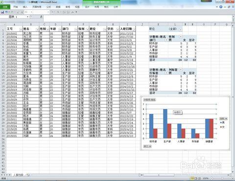 excel 2010基础应用篇05——数据透视图