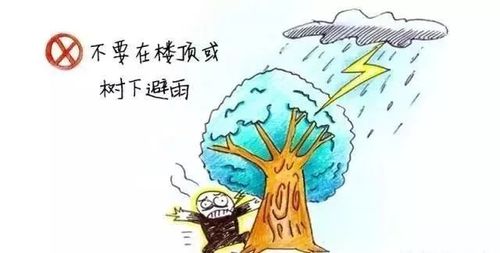 【警方温馨提示】雷雨天气防范指南