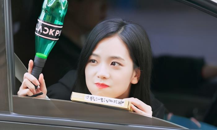 金智秀个人资料为什么那么多观众喜欢金智秀