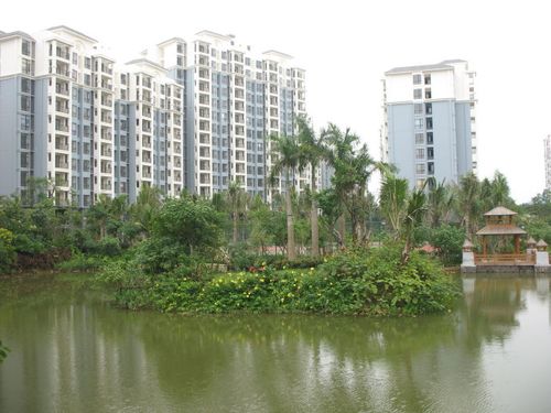 ( 椰林湾二期有17栋楼房,但入住的业主还不多,估计等春节时来吧)