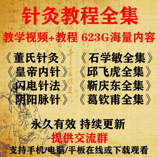 购客董氏奇穴针灸全集石学敏针灸自学入门全套中医针灸学教学视频教程