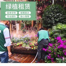 植物租赁武汉公司绿植租摆养护服务办公室绿化盆栽花卉商场租花租植物