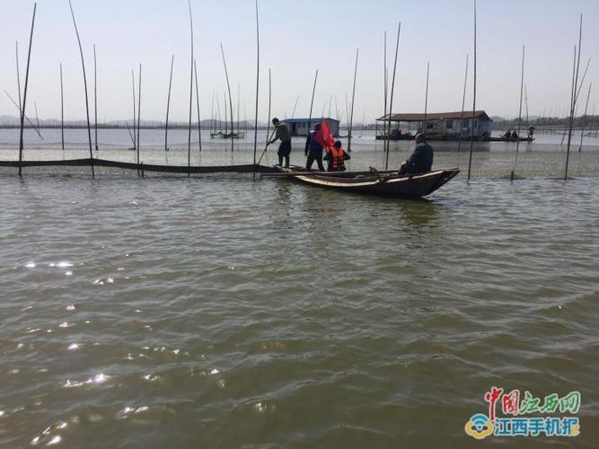 瑞昌退渔还湖显成效赤湖重现一湖清水靓影
