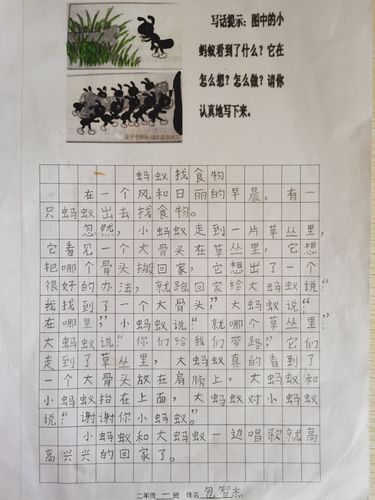 二年级一班看图写话集(二)《蚂蚁搬骨头》