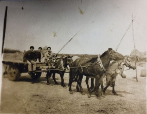 六度春秋在德都