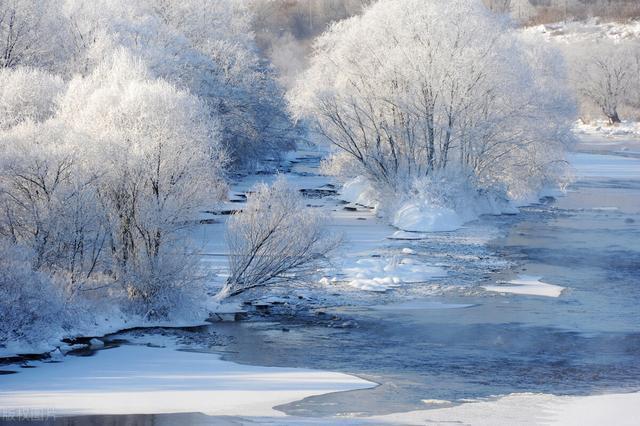"忽如一夜春风来,千树万树梨花开"每当雾凇来临,吉林松花江岸十里长堤