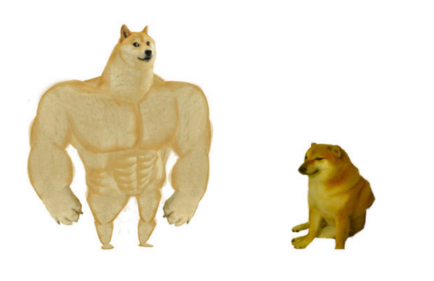 doge什么意思(活在你表情包里的神烦狗doge)