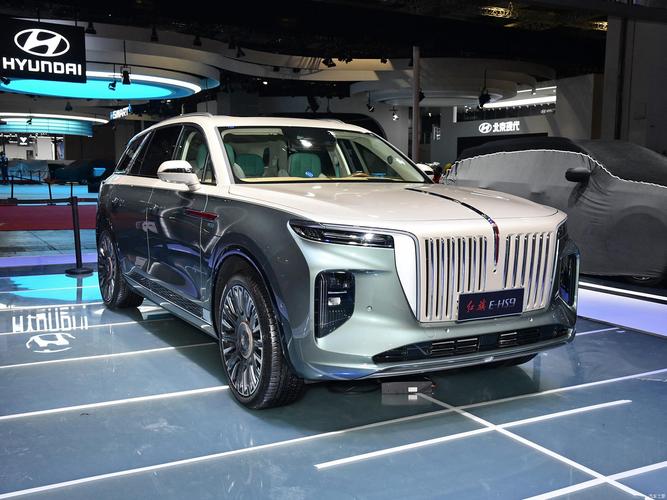 红旗e-hs9购车指南