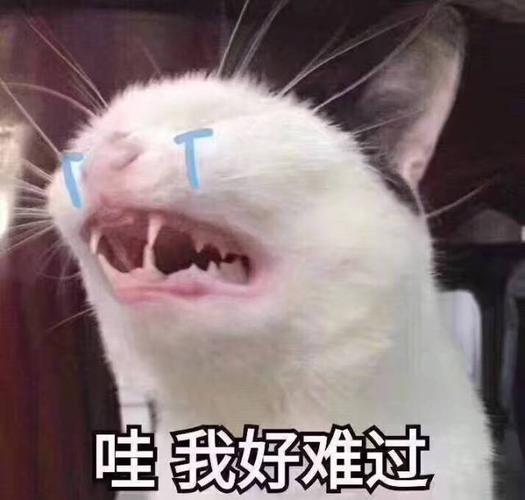 一女子真的气到血管破裂!