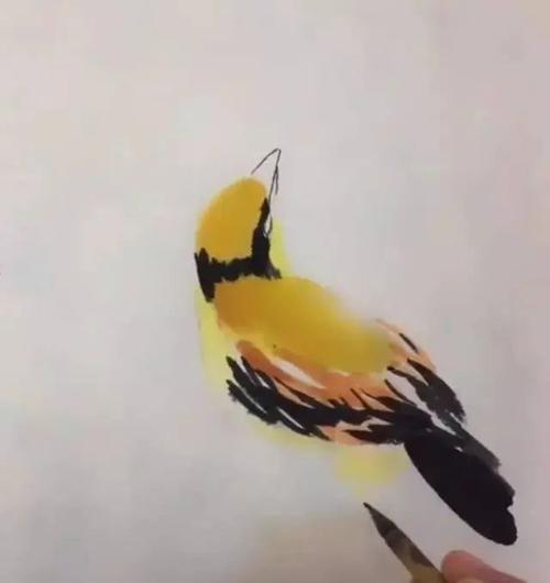 国画教程黄鹂鸟的画法