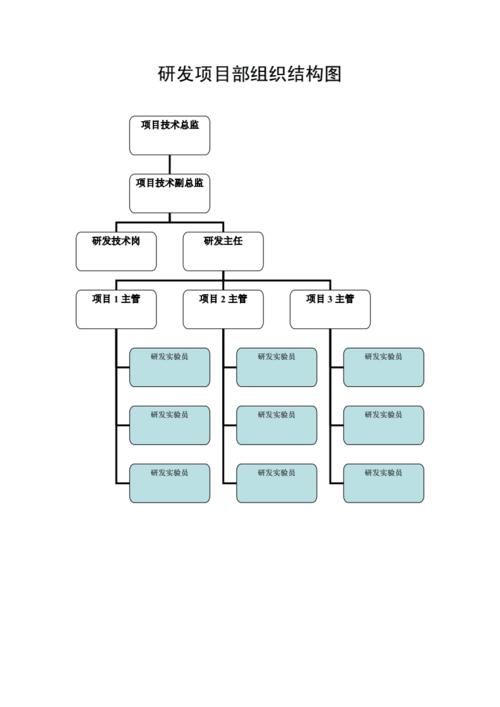 研发岗位职责.doc 12页