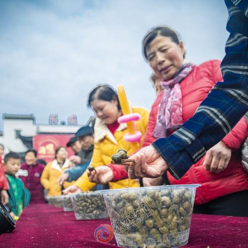 蒋坝螺蛳节序幕拉开一3-20就等你来!