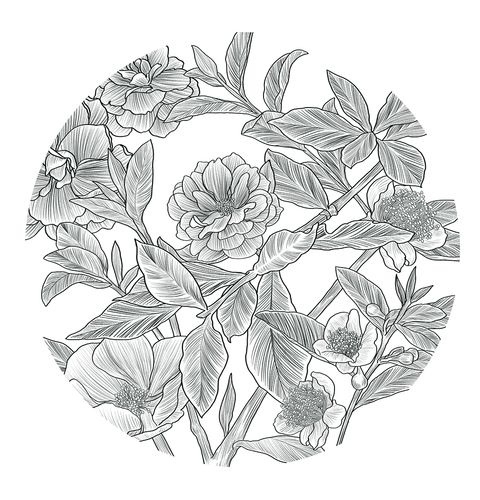 一款普洱茶饼包装插画