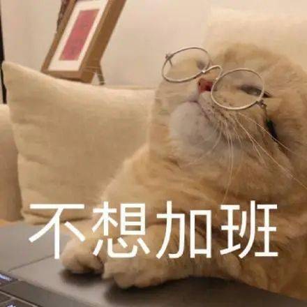 不想加班表情包67