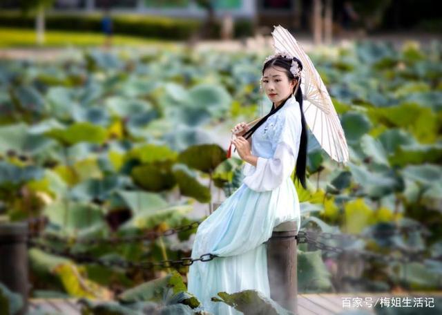 荷塘古风美女美醉了