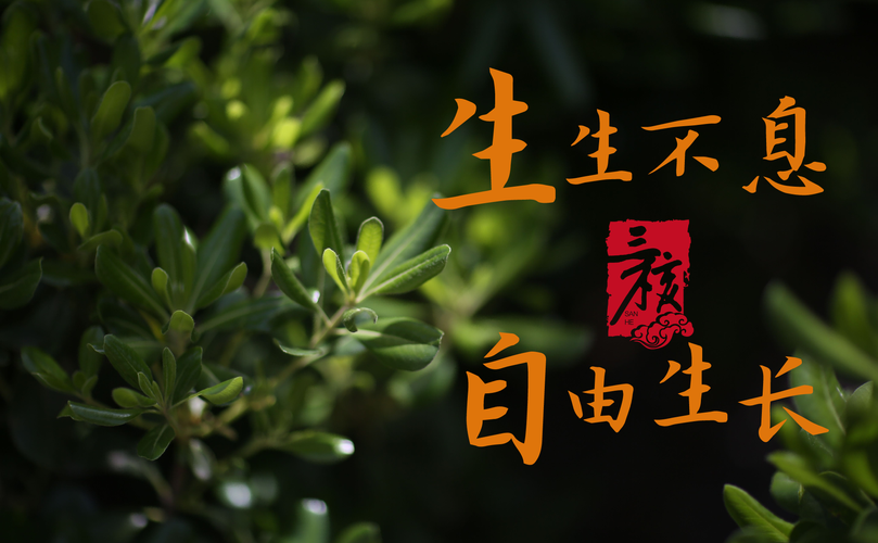 山西三核文化传媒三周年生生不息自由生长