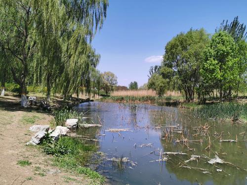 房山滨河森林公园